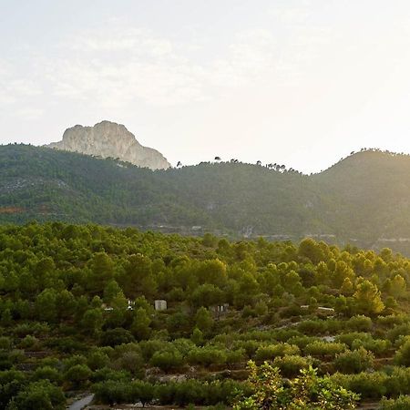 Casa Rural La Canal De Salem Екстериор снимка