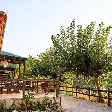 Casa Rural La Canal De Salem Екстериор снимка