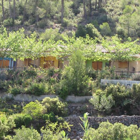 Casa Rural La Canal De Salem Екстериор снимка